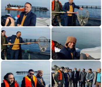 باپیگیری مستمر شیلات مازندران ، قفس دریایی در شهرستان تنکابن امروز ماهیدار شده و در مدار تولید قرار گرفت